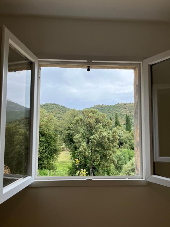 Appartement Soveria エクステリア 写真